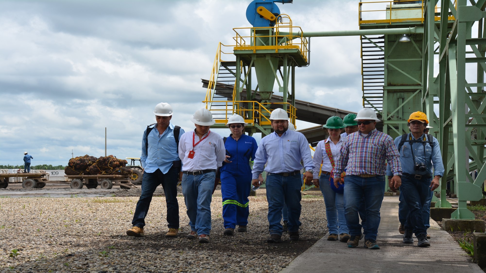 IMPACTO EN CASANARE POR LA CAÍDA DE LOS PRECIOS